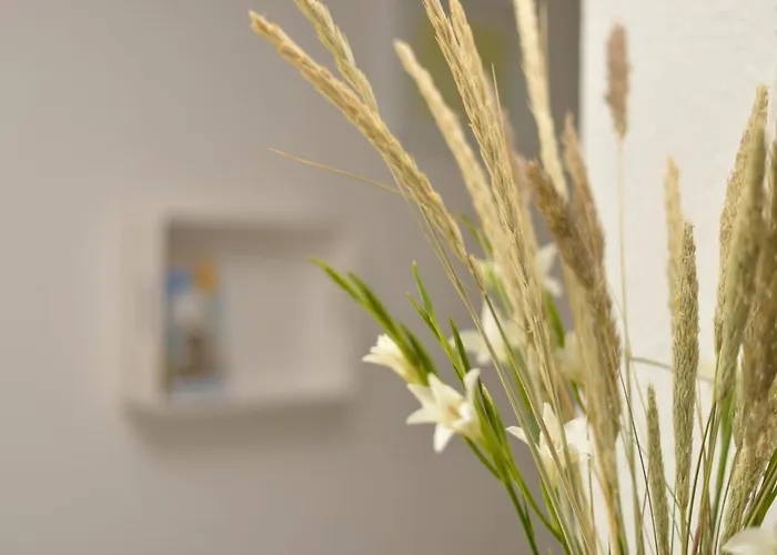 Lägenhet Kuestenwaldblick Mit Privat Sauna, 87qm & 2 Schlafzimmern